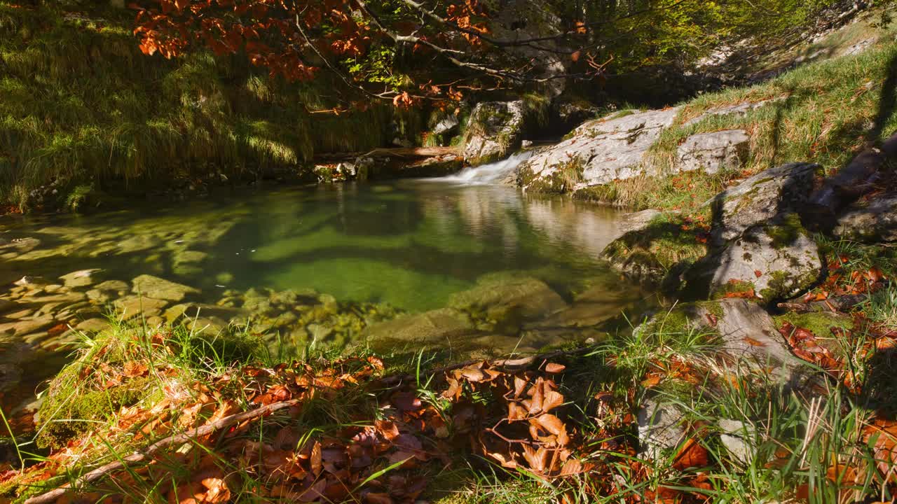 小河塘视频素材