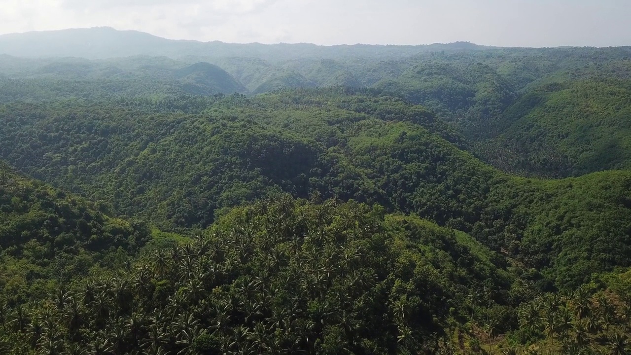 飞机飞过崎岖、茂密、郁郁葱葱的热带丛林山脉视频素材