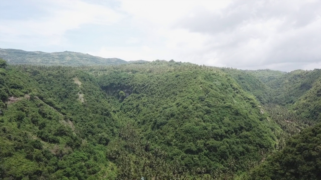 山上狭窄的丛林山谷里长满了棕榈树，鸟瞰视频素材