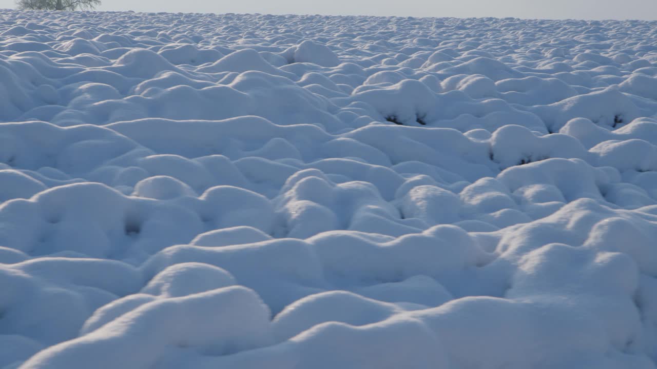 冬天，白雪覆盖着农田视频素材