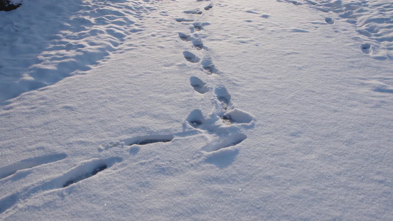 冰雪覆盖的道路上有人类脚印视频素材