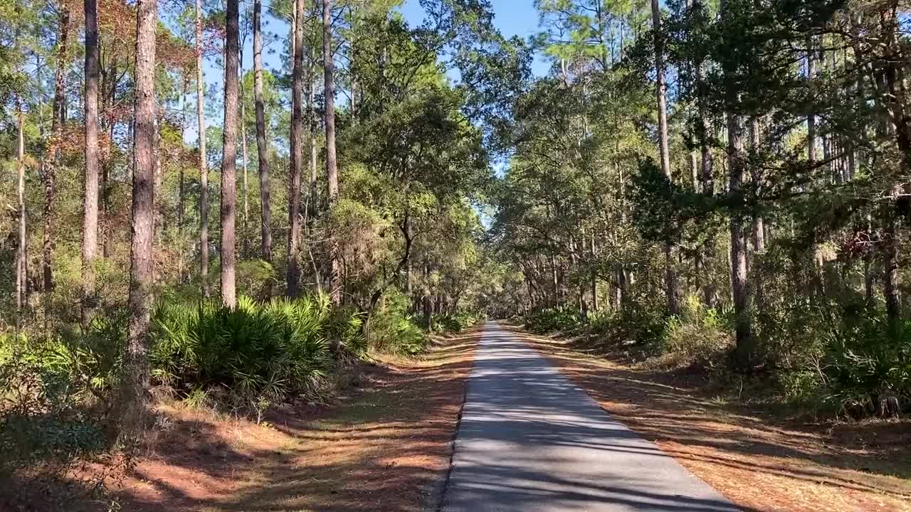 乡村乡村公路徒步自行车道阳光移动景观自行车徒步步道视频素材