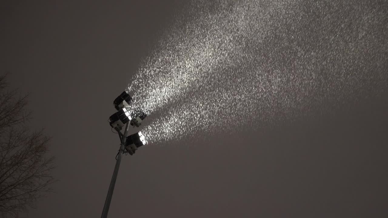 雪花在冬夜聚光灯下的电光中飞舞视频下载