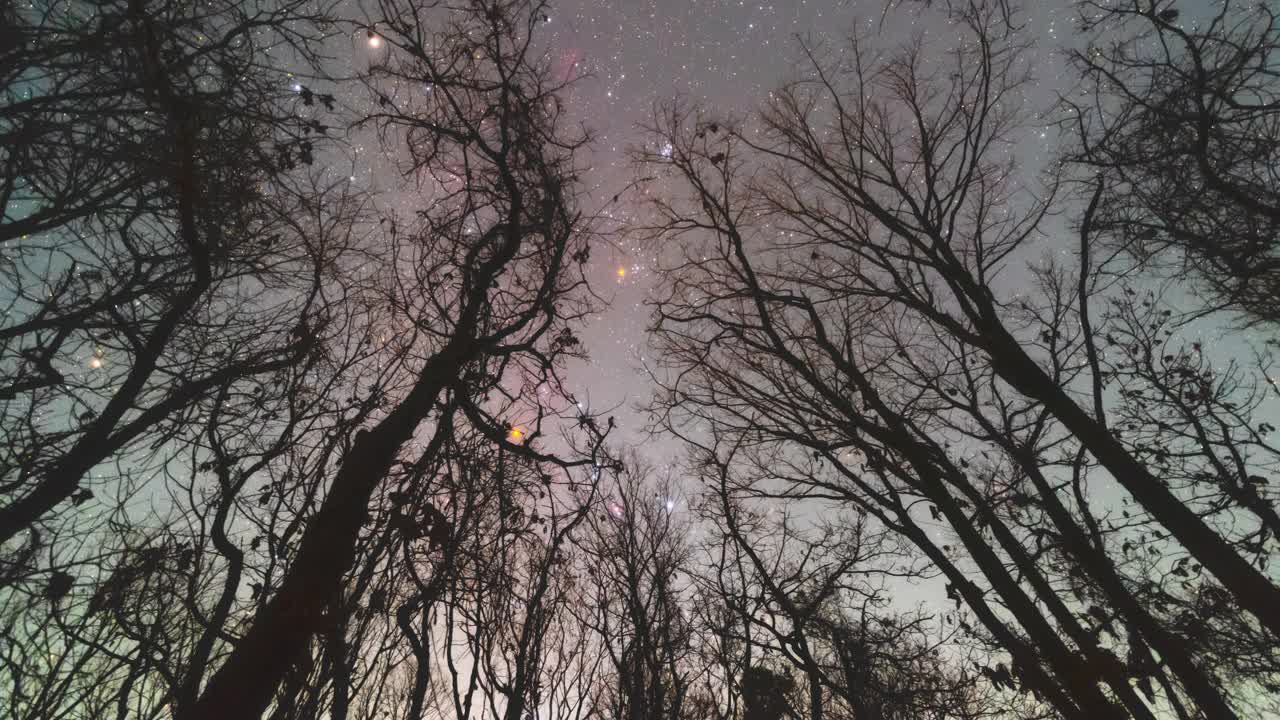 夜空中有树的银河自然风光/韩国全北济南郡视频素材