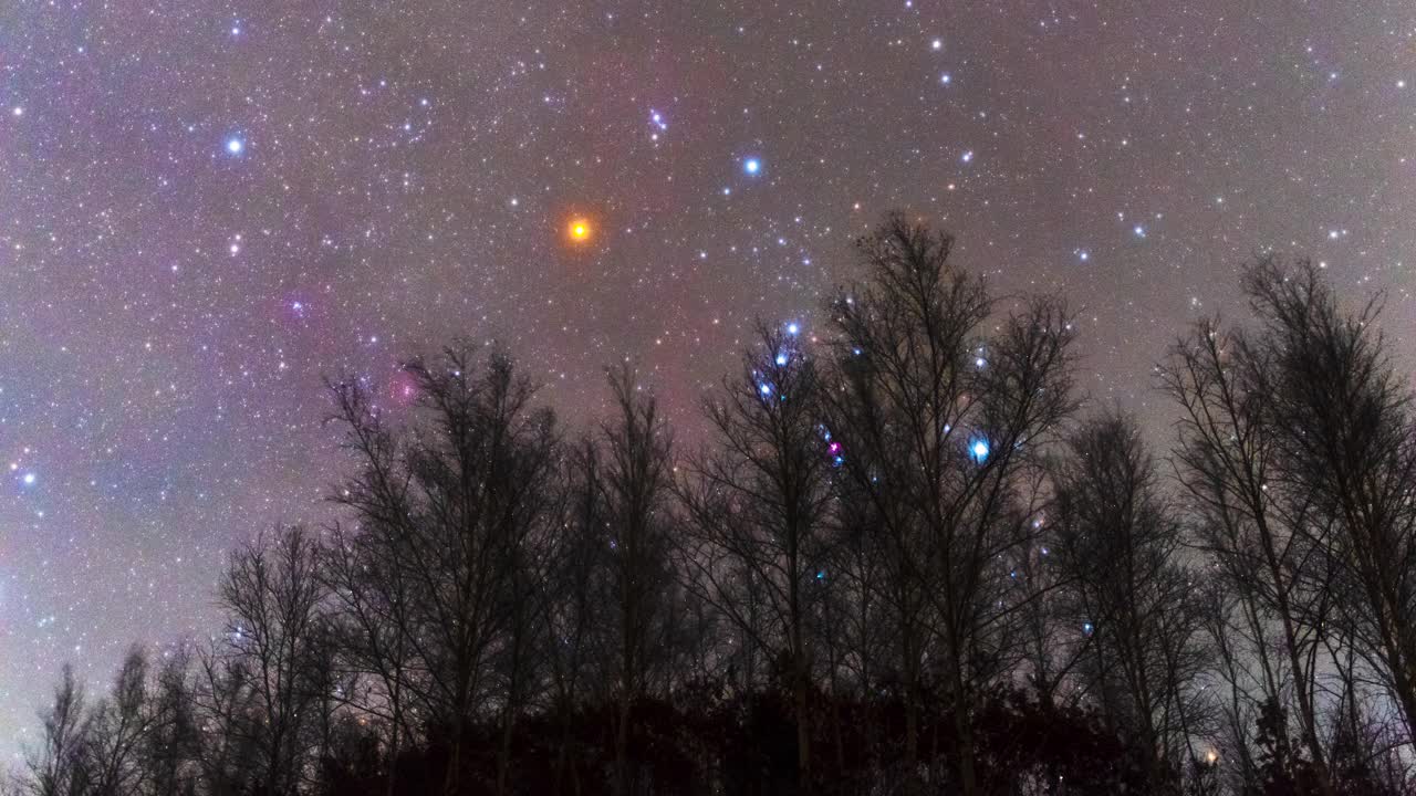 夜空白桦林附近的银河自然风光/韩国江原道麟蹄郡视频素材