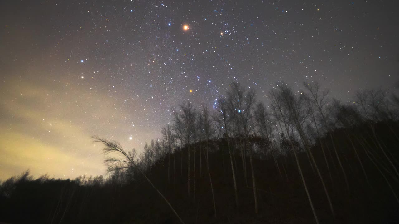 夜空白桦林附近的银河自然风光/韩国江原道麟蹄郡视频素材