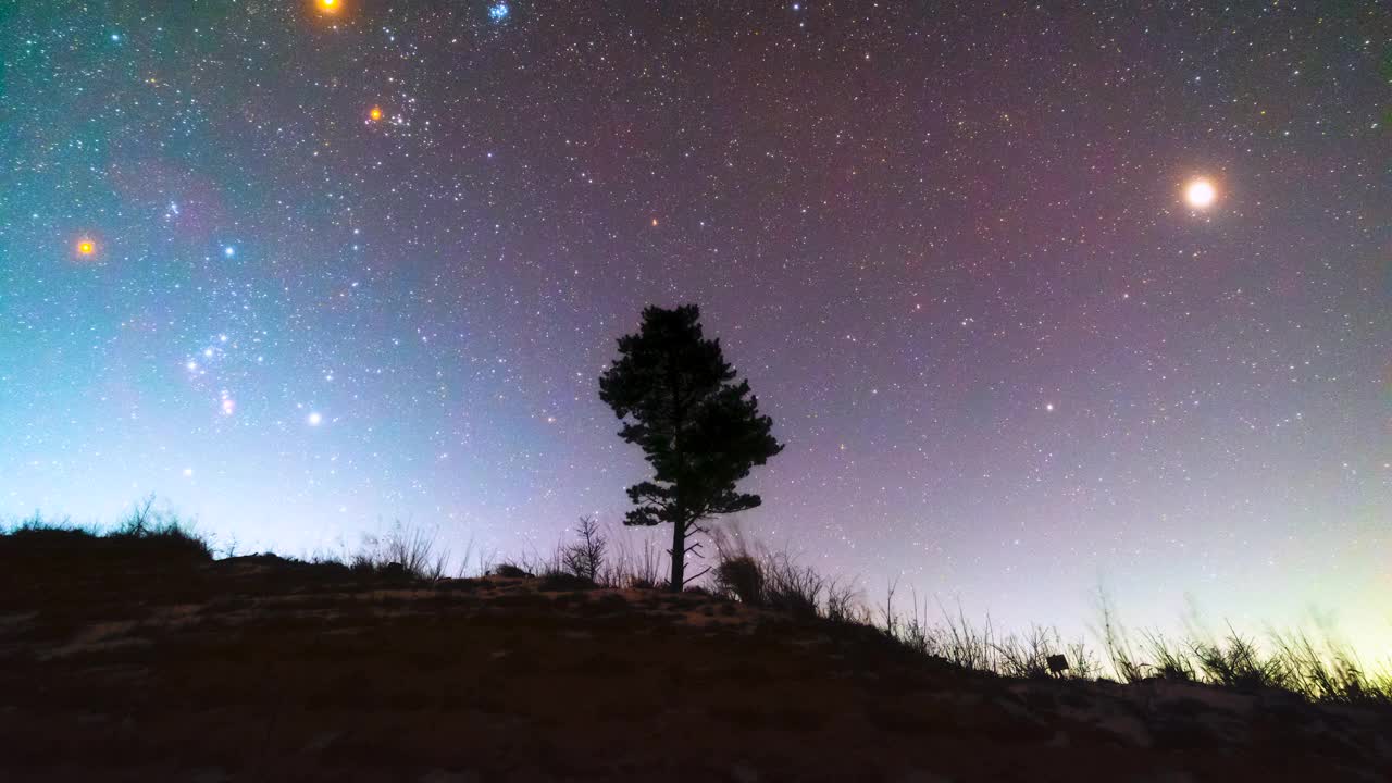 夜空中松树映衬的银河自然风光/韩国江原道阳阳郡视频素材