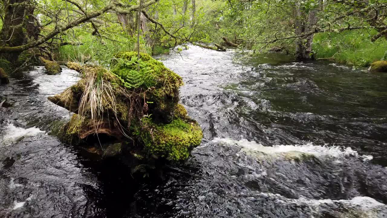 河流的自然风光/苏格兰，英国视频素材