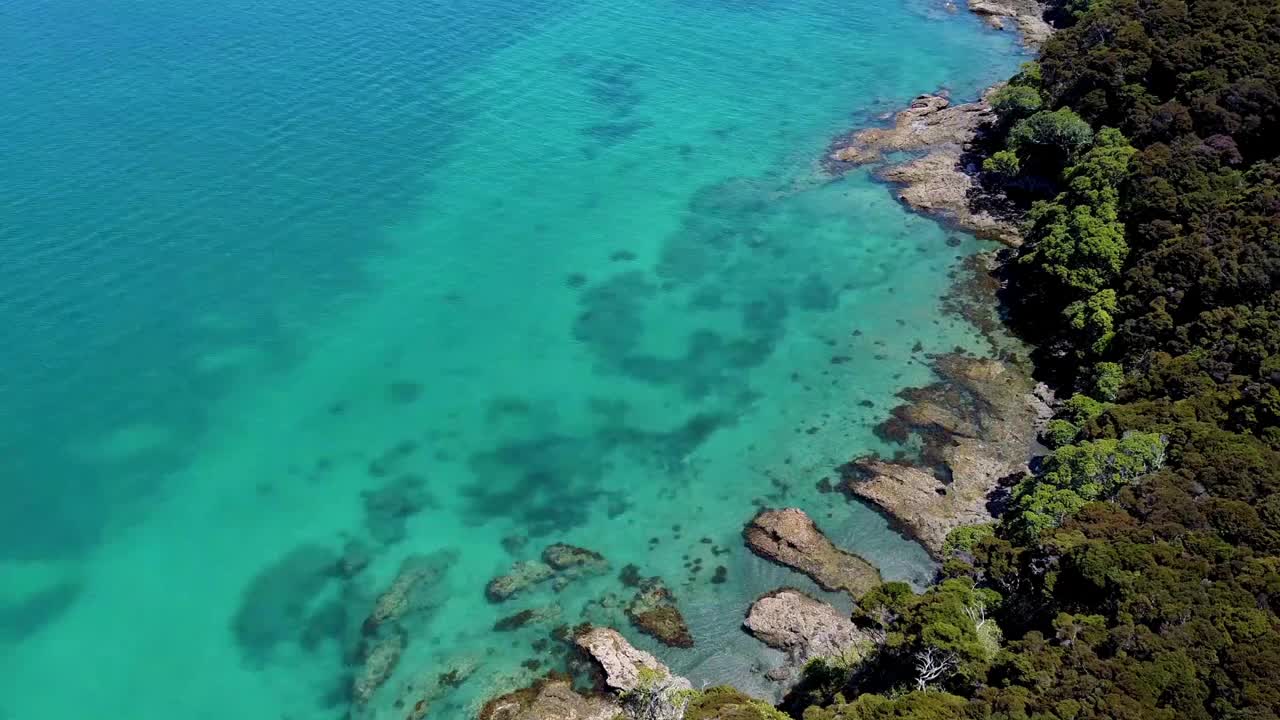 新西兰群岛湾的特写镜头视频素材