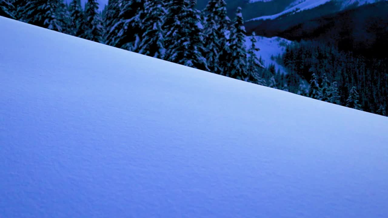 白雪皑皑的山坡背景是冬天的森林树木视频素材