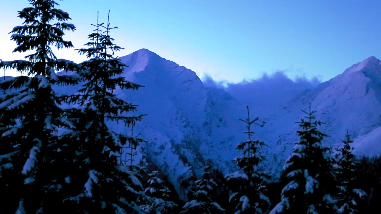 跟踪拍摄的森林树木和白雪覆盖的山丘在一个冬天的晚上视频素材