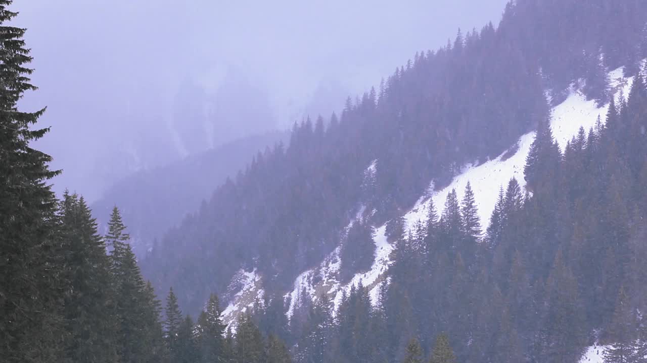 在宁静的白雪覆盖的山林里观看降雪视频素材