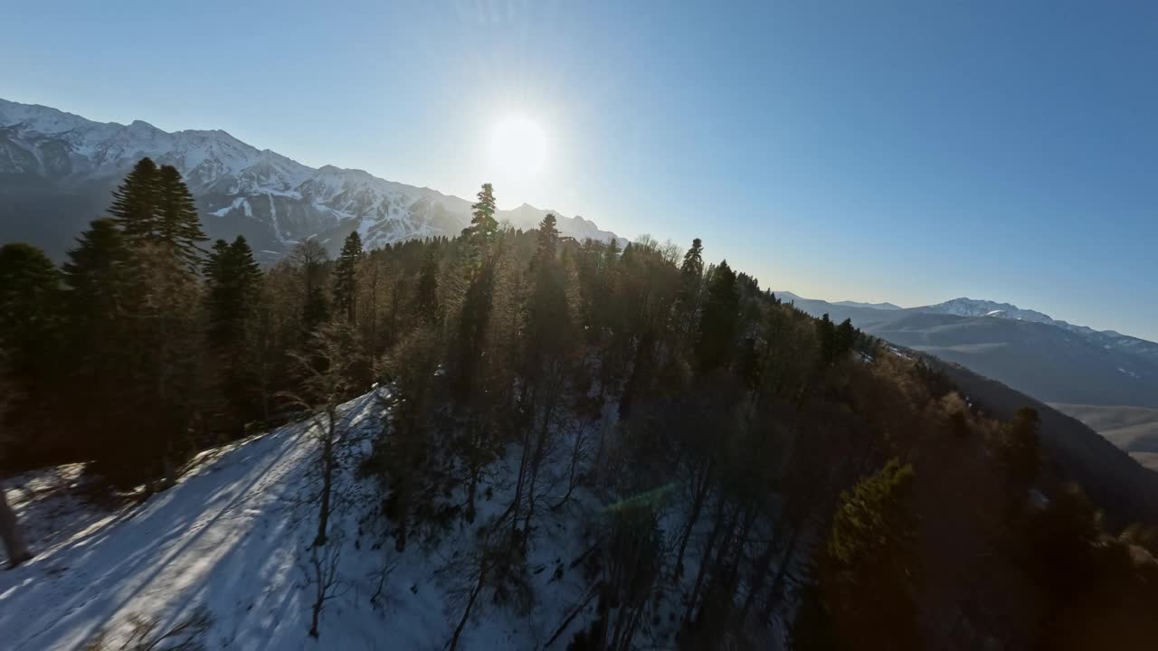 冬季林谷乔木滑雪场被雪山环绕，景色如画视频素材