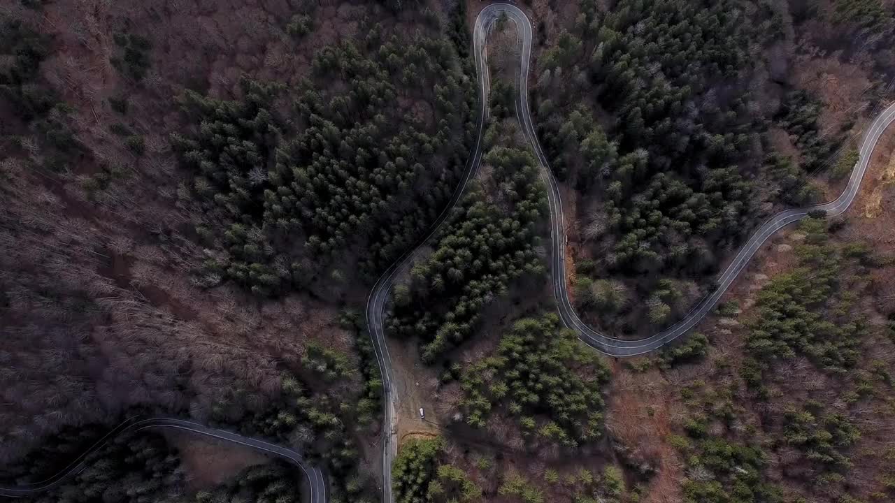 美丽的道路鸟瞰图和茂密的树木生长在森林中在一个相当阴沉的日子在高清视频素材