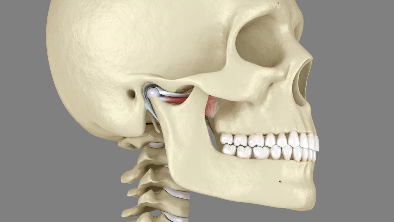 颞下颌关节和关节盘脱位。医学精准3D动画视频素材