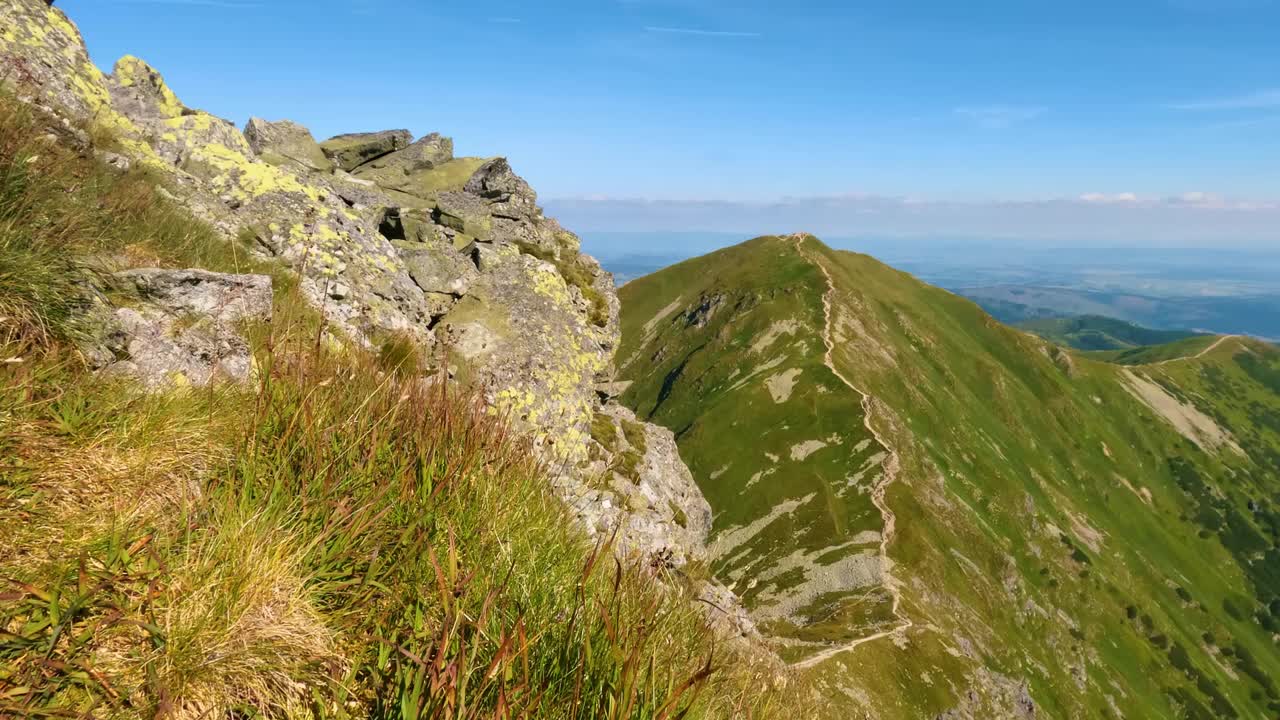 阿尔卑斯山脉和绿色的高寒草甸，在美丽的夏季自然旅游背景下，草在风中运动视频素材