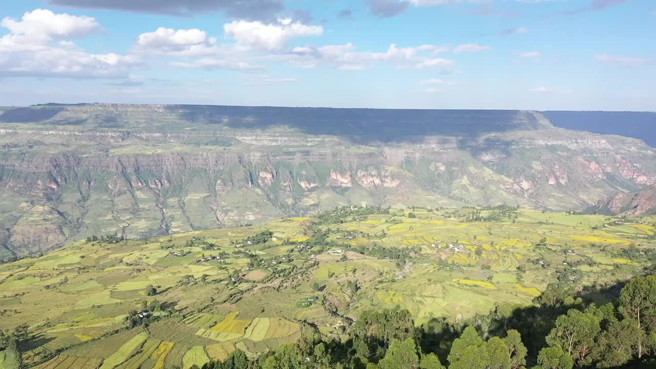 绿色森林山坡的空中景观视频素材