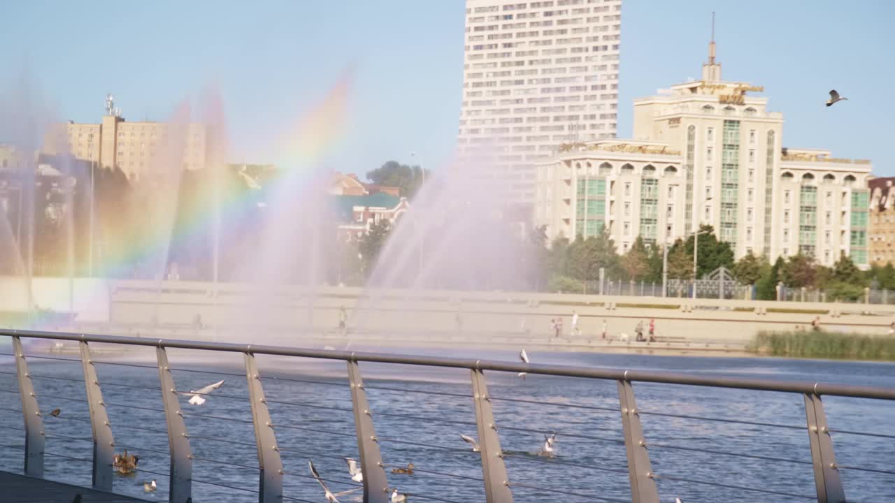 海鸥在喷泉边飞，彩虹在河上亮视频素材