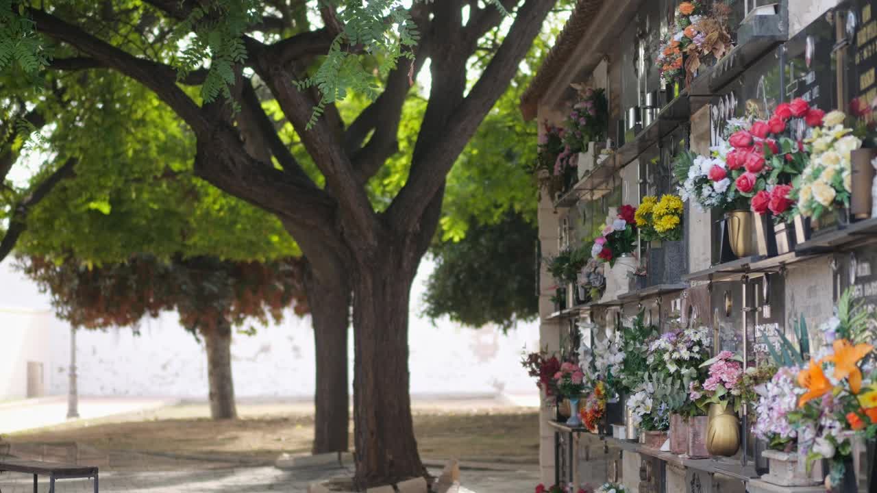 西班牙的墓地。树间的坟墓。花岗岩石板和鲜花。花岗岩公墓墓碑。版本12视频素材