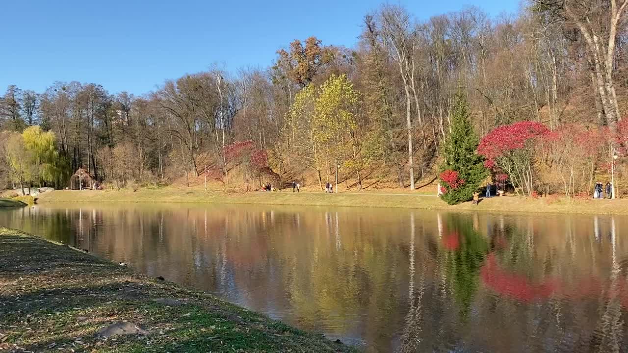 秋天美丽的公园和池塘。风景秀丽的树木在平静的水面上的倒影。视频素材