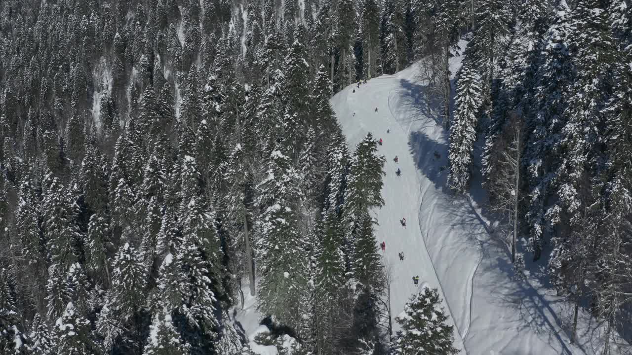 滑雪场活跃的人们骑在雪道上滑雪，单板滑雪，极限运动，高山森林鸟瞰视频素材