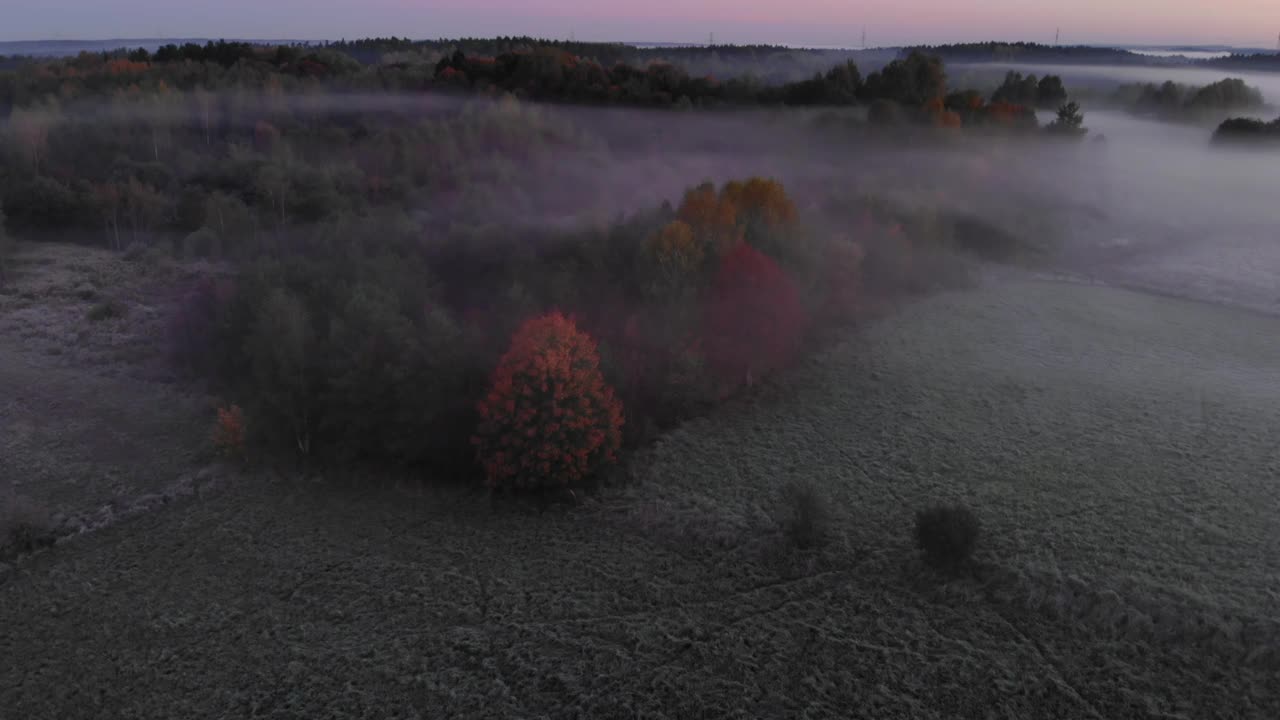 鸟瞰图。朦胧乡村的日出。魔法雾到地平线。史诗般的神奇自然景观。日出时雾和彩色树木的惊人鸟瞰图。秋雾景观。雄伟的雾林视频素材