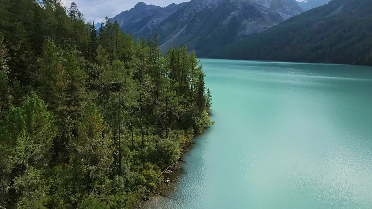 阿尔泰的绿松石色库切尔林湖令人惊叹。一个美丽的高山山谷的鸟瞰图，有陡峭的悬崖和茂密的针叶林。阿尔泰山脉视频素材