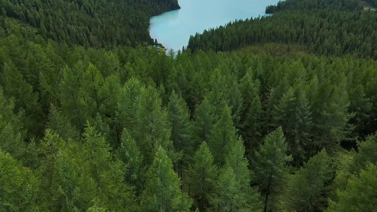 阿尔泰的绿松石色库切尔林湖令人惊叹。一个美丽的高山山谷的鸟瞰图，有陡峭的悬崖和茂密的针叶林。阿尔泰山脉视频素材