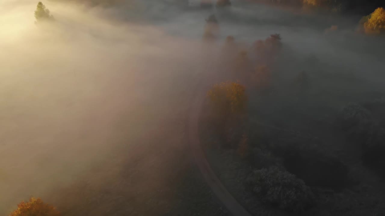 鸟瞰图。朦胧乡村的日出。魔法雾到地平线。史诗般的神奇自然景观。日出时雾和彩色树木的惊人鸟瞰图。秋雾景观。雄伟的雾林视频素材