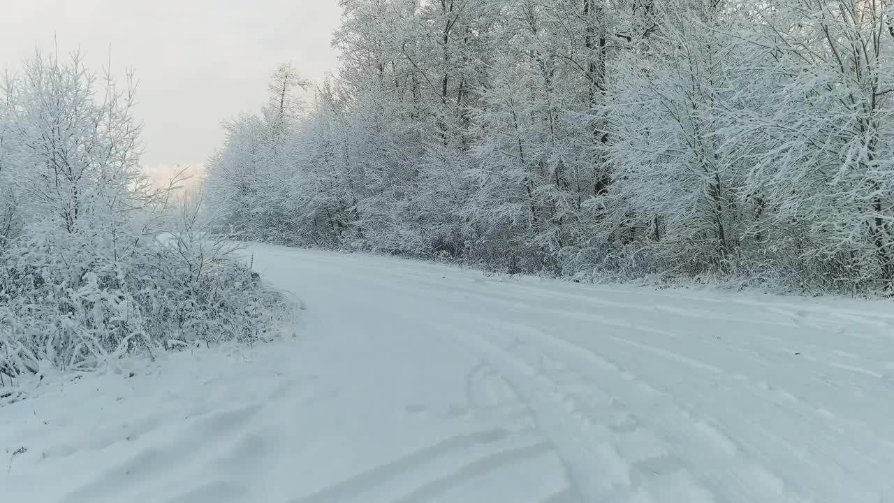 在冬季森林里出国旅行。多莉在拍摄冬季森林中偏远的雪路视频素材