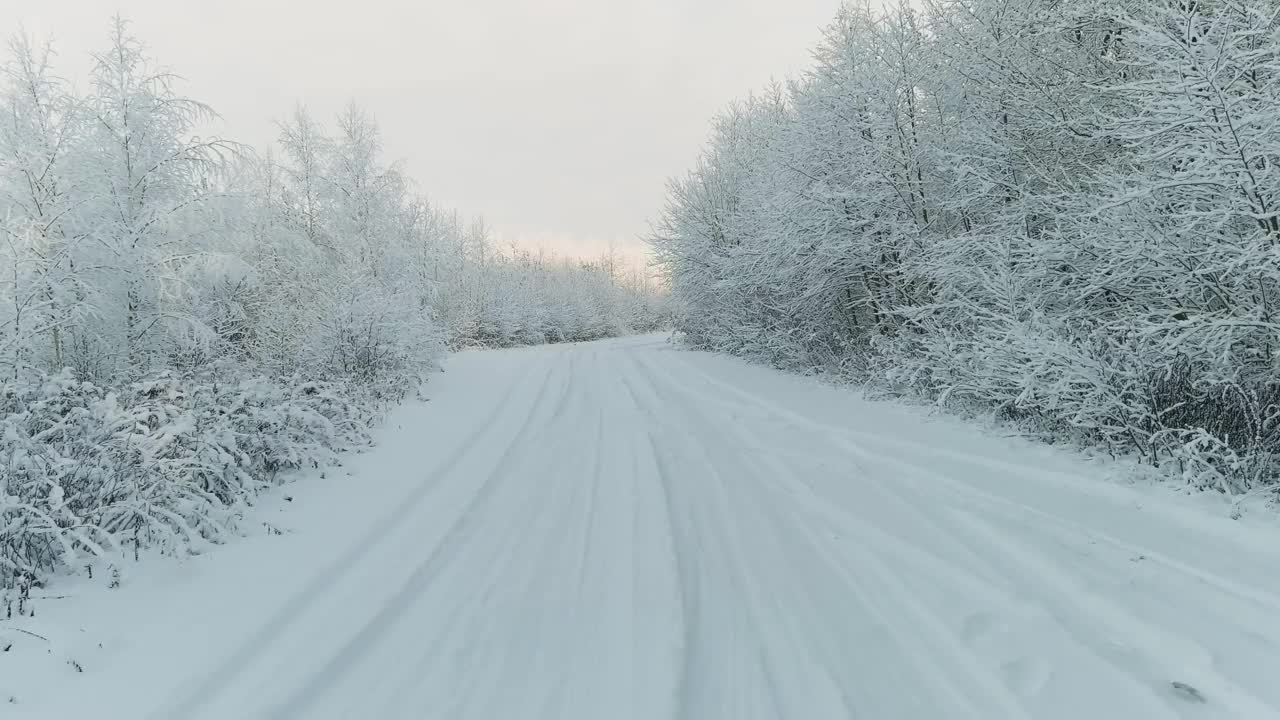 冬季之旅穿越霜冻景观。多利拍摄了大雪纷飞的冬季道路和周围的树木视频素材