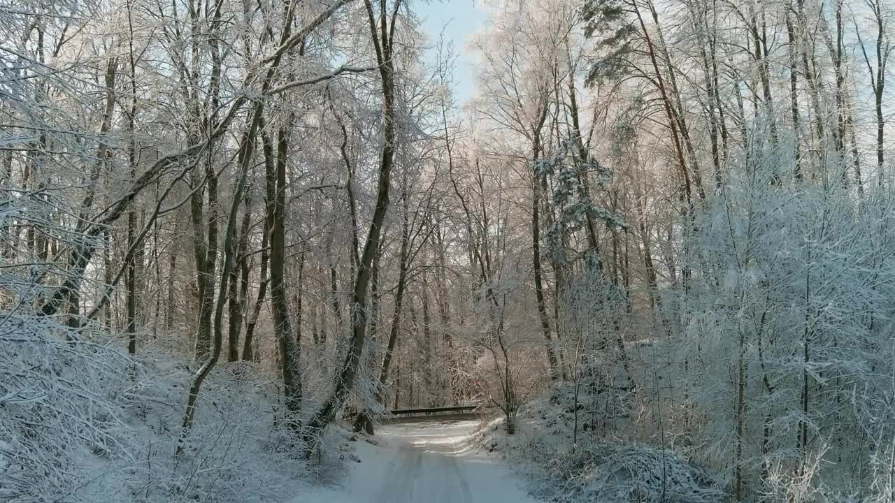 底座上的镜头，白雪覆盖的森林和晴朗寒冷的天空视频素材