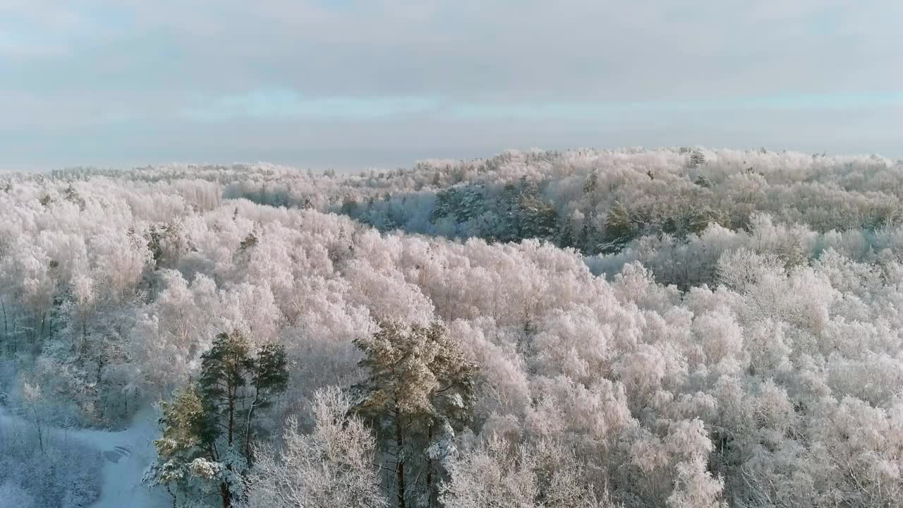 冬季雪景景观，非城区冰雪森林鸟瞰图视频素材