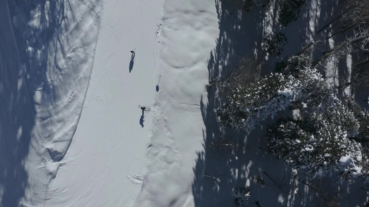 滑雪者骑乘轨道山坡下山停转云杉林景观鸟瞰视频素材