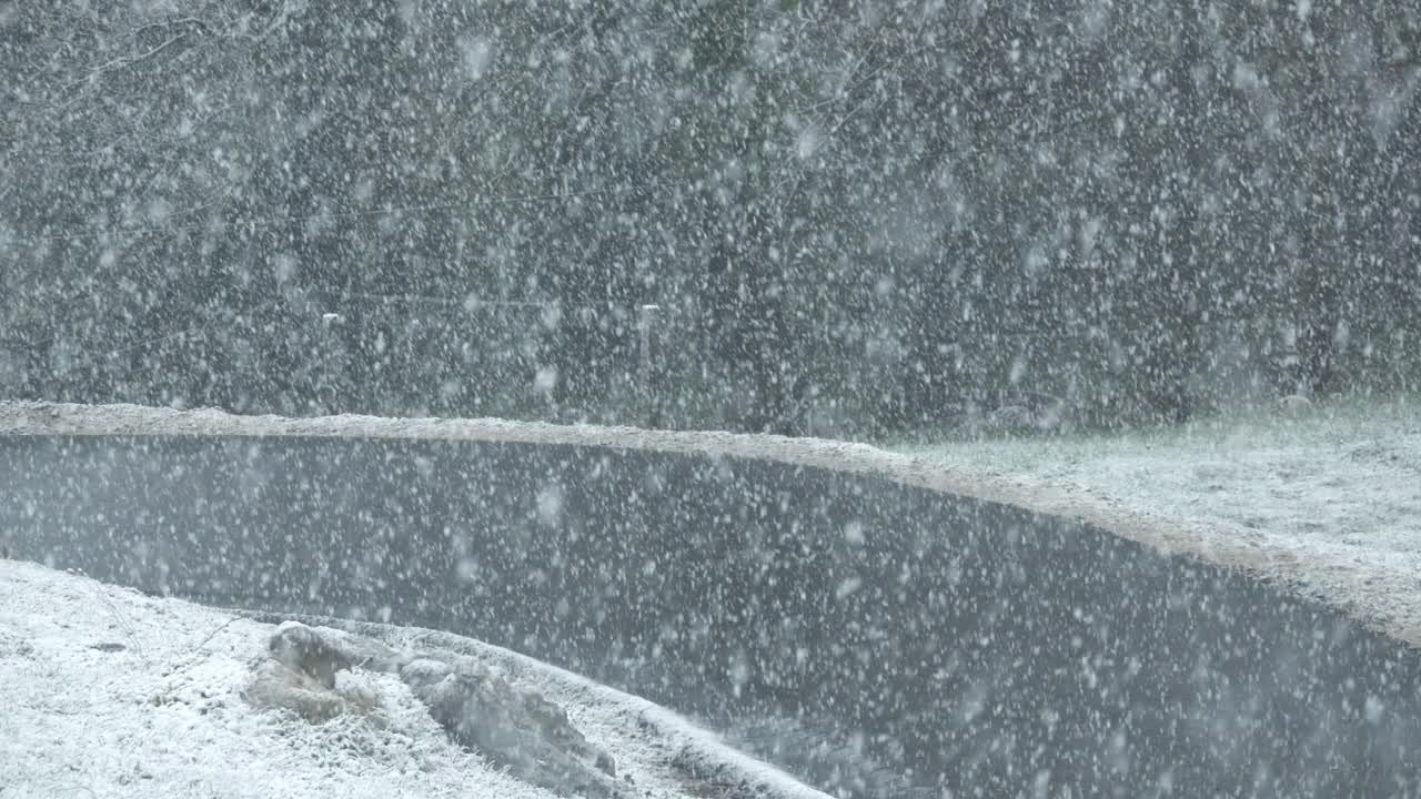 晚春时节，不寻常的大雪席卷乡村视频素材