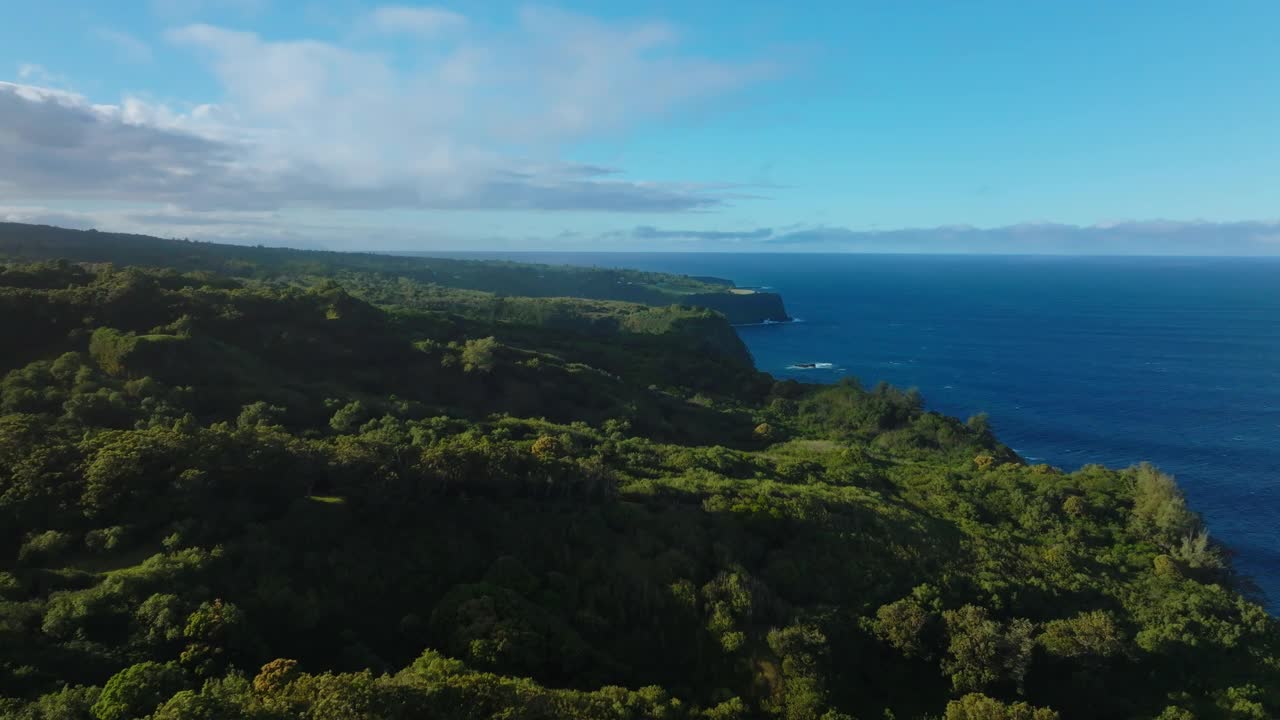 夏威夷毛伊岛热带海水海岸线的鸟瞰图视频素材