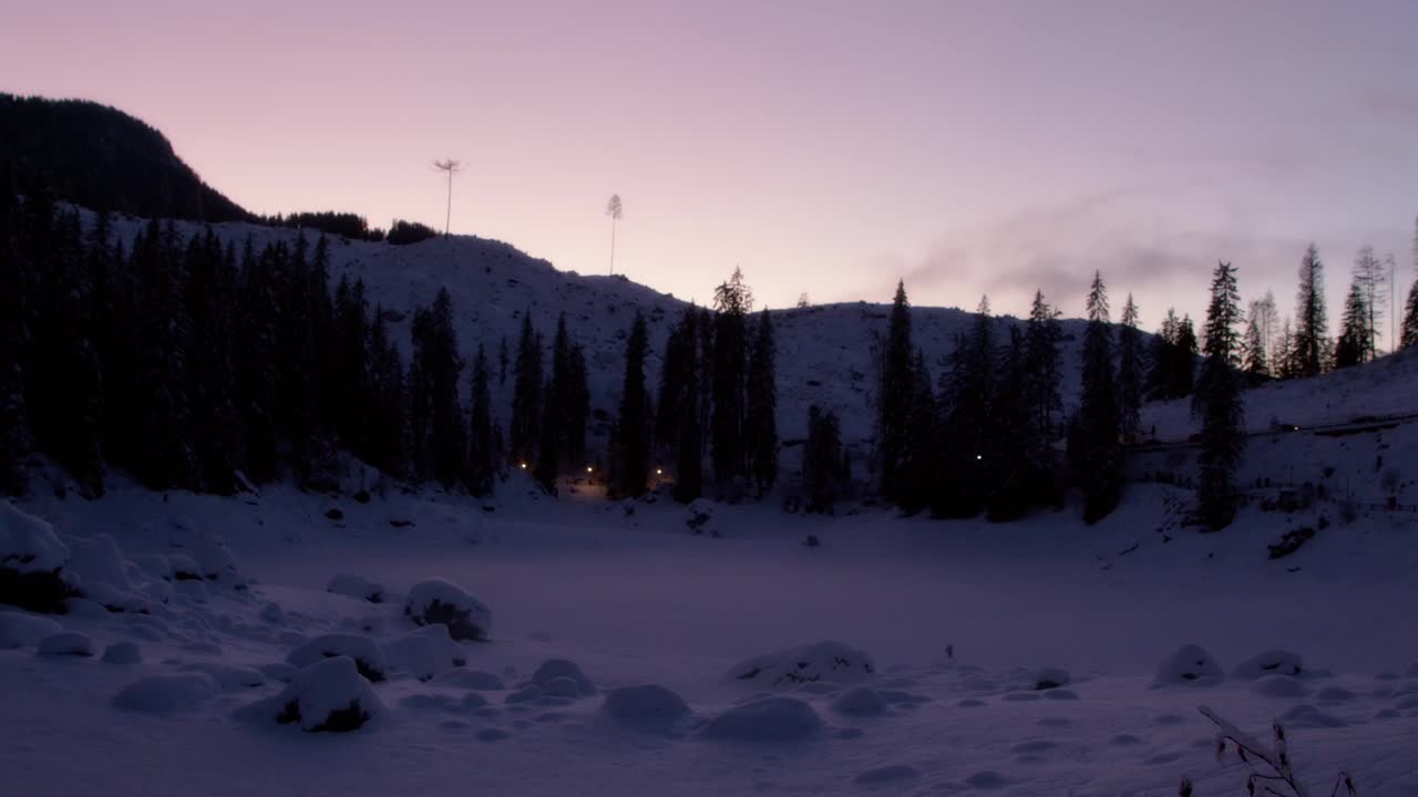 令人惊叹的冷杉树在雪山的背景视频素材