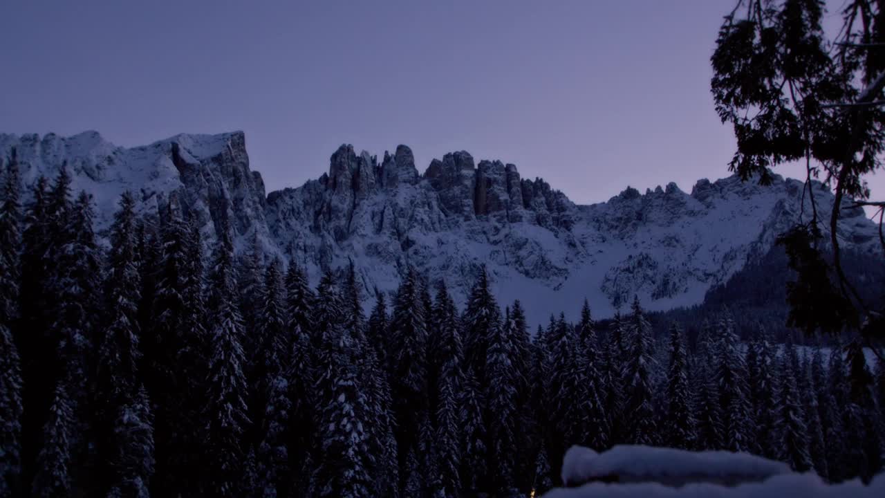 令人惊叹的冷杉林在雪山的背景视频素材