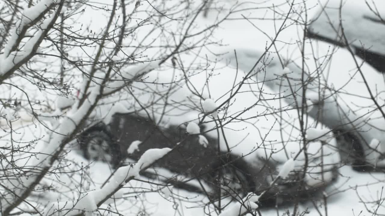 在城市大雪的背景下，汽车呼啸而过视频素材