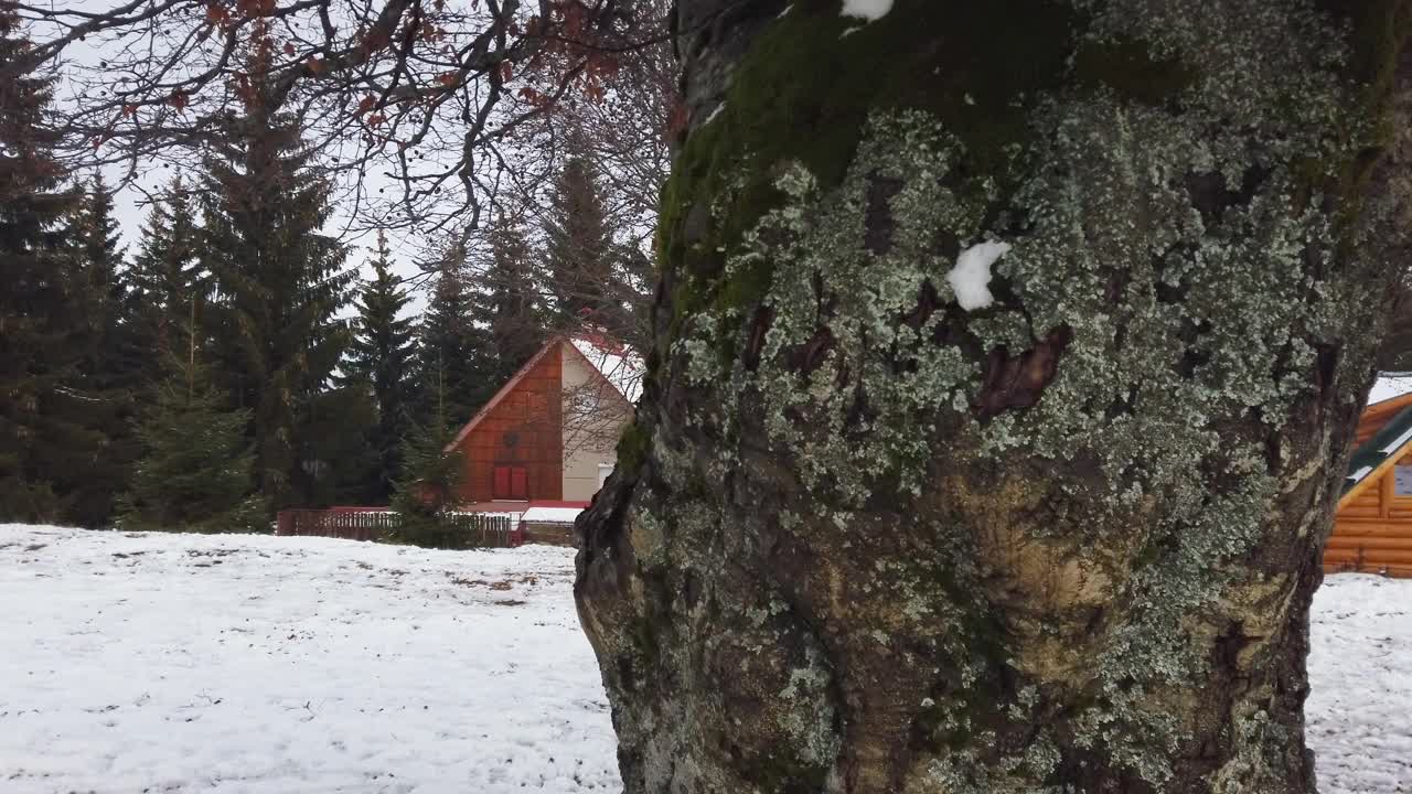 滑雪区被雪覆盖的山间小屋视频素材