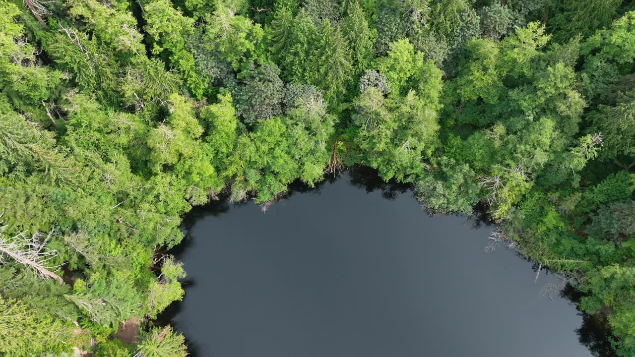 从空中俯瞰被茂密森林包围的香湖海岸线。视频素材