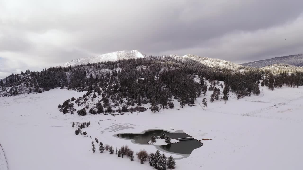 科罗拉多州暴风雪期间，飞越冰雪覆盖的冬季山地景观和森林视频素材