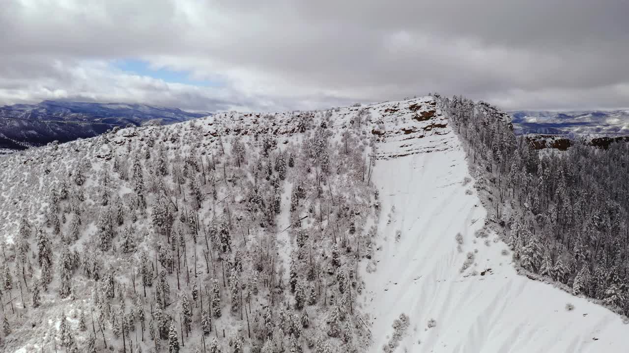 科罗拉多州暴风雪期间，飞越冰雪覆盖的冬季山地景观和森林视频素材