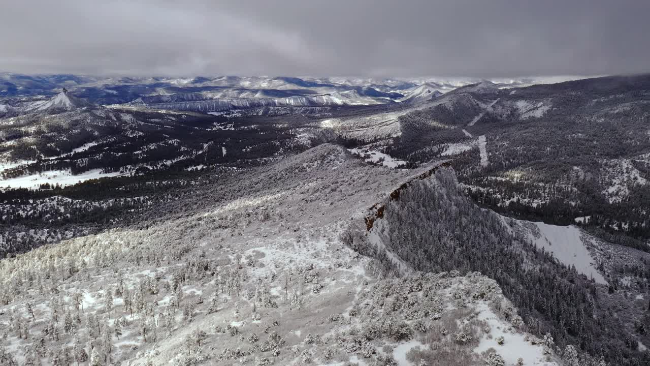 科罗拉多州暴风雪期间，飞越冰雪覆盖的冬季山地景观和森林视频素材