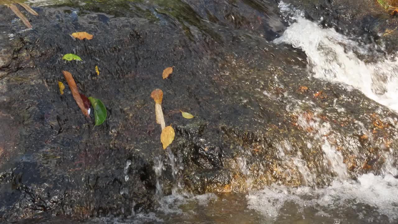 溪流和岩石视频素材