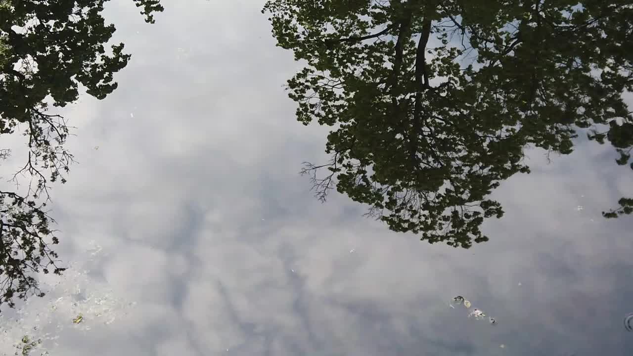 雨滴落在水中;树木倒映在湖中视频素材