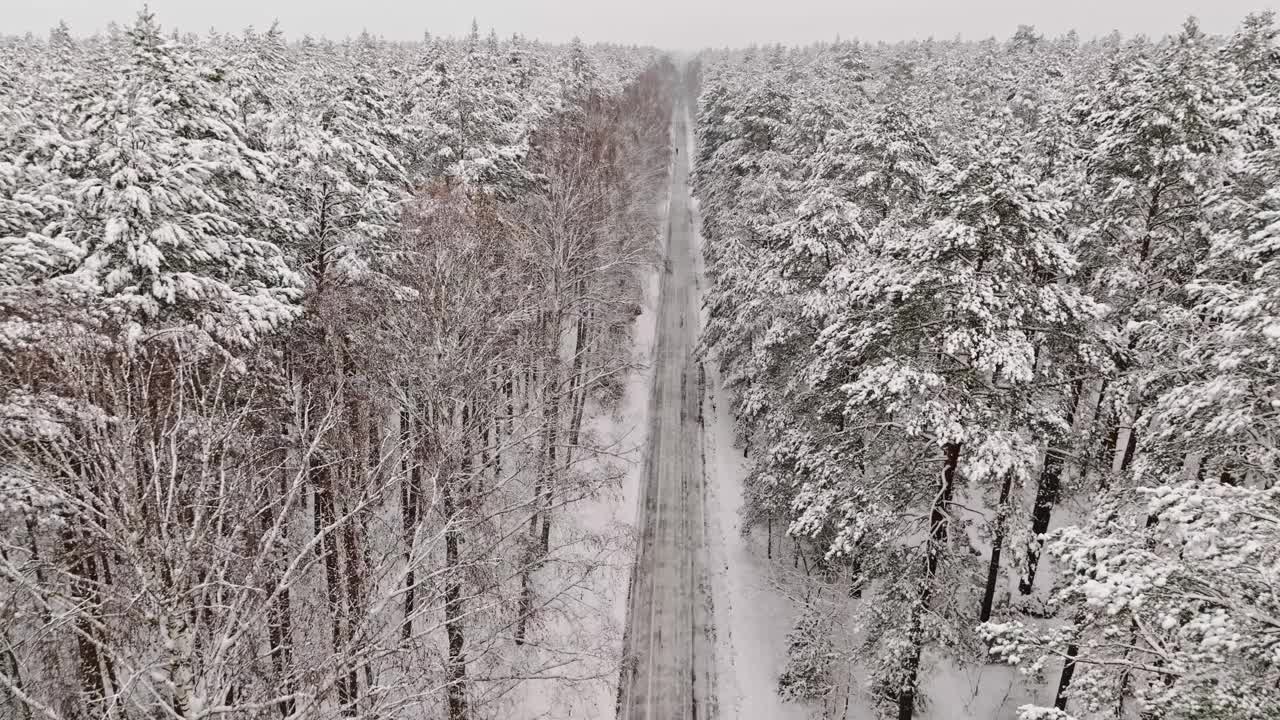 波兰，在柏油路和白雪覆盖的森林上空飞行。视频素材