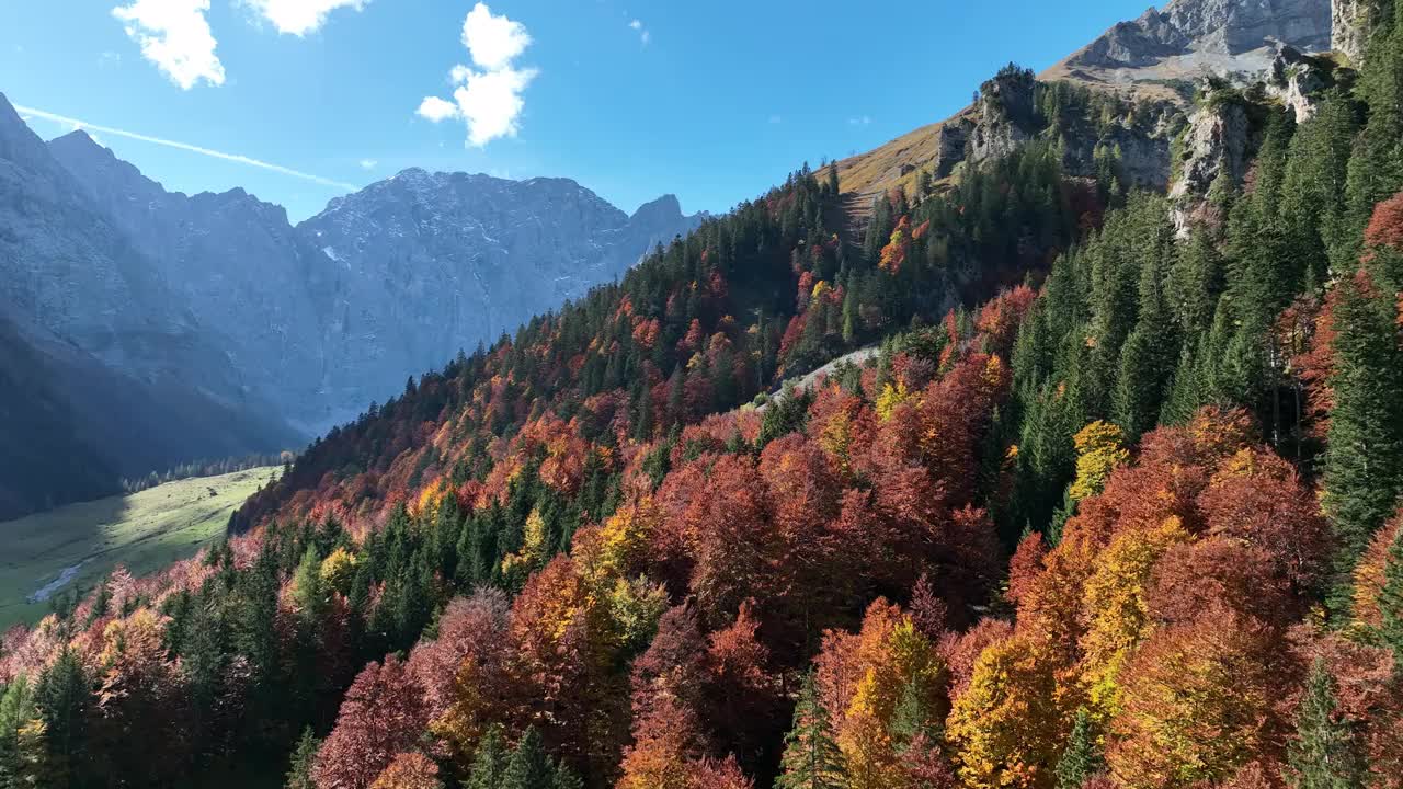 这是一架无人机在山上秋天的森林里拍摄的视频视频素材