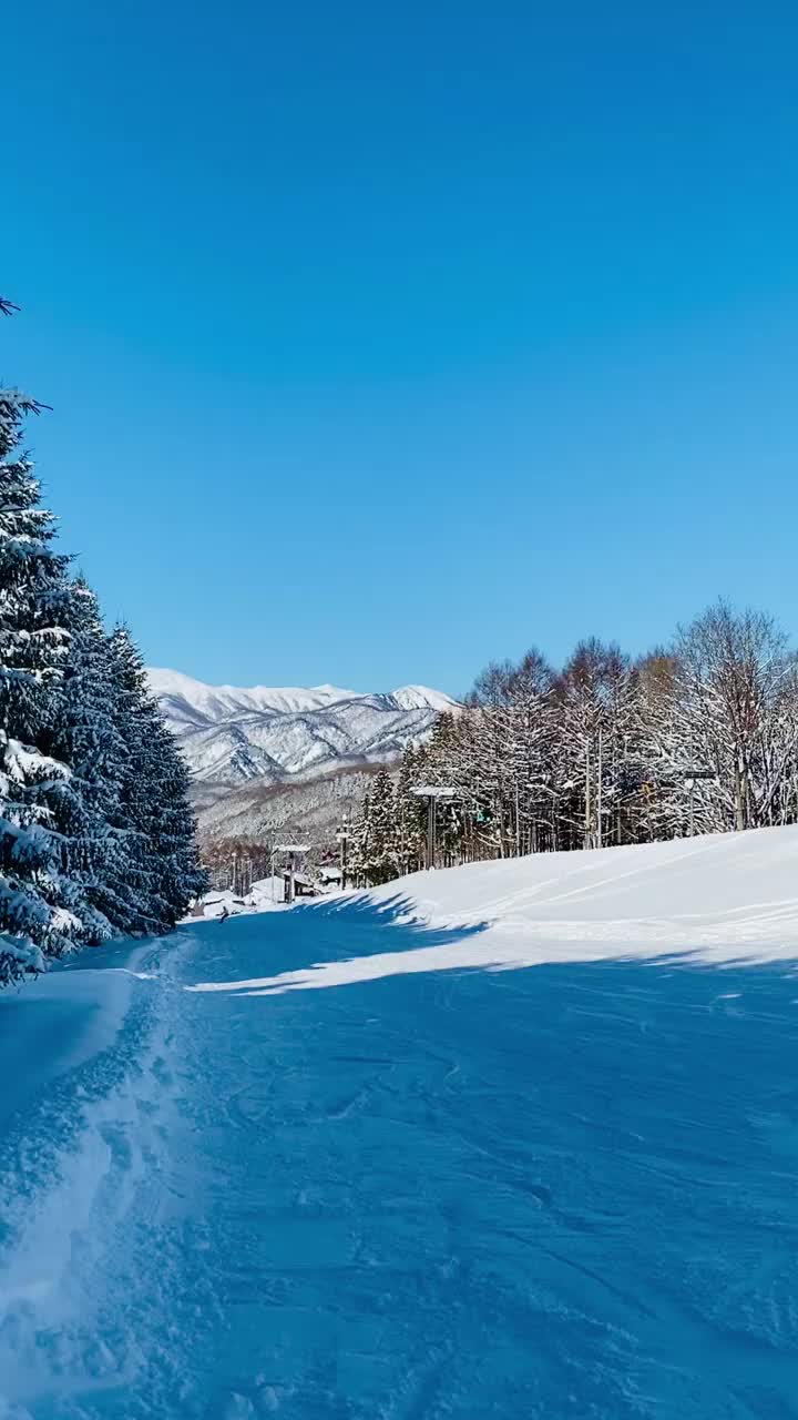 滑雪场的雪面、山顶升降台、雪道及雪坡的状况。视频素材