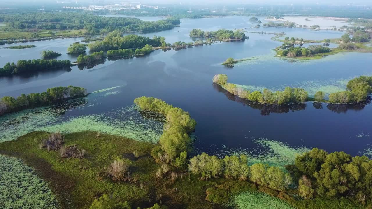 无人机拍摄马来西亚湿地视频素材